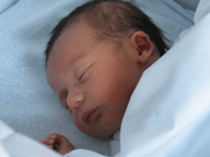 &iexcl;&iexcl;&iexcl;&iexcl;Lleg&oacute; el gran d&iacute;a!!!!